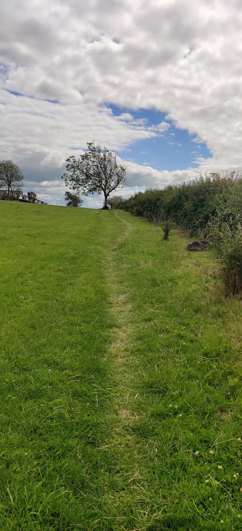 Walking across lawns, pitches and along hedgegrows to avoid people, folk went where they normally never walked, due to COVID. This was to get excercise, get out, but not be at or to cause risk. The paths, and our patterns, are fading now.
